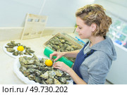 preparing the oysters. Стоковое фото, агентство Ingram Publishing / Фотобанк Лори