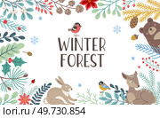 Decorative winter background with evergreen plants, deer, bear and lettering on a white background. Christmas and New year design. Стоковая иллюстрация, агентство Ingram Publishing / Фотобанк Лори