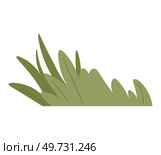 Flower pot. Vector illustration. Herbal remedies utilize healing properties plants The blossom flower represents its ultimate beauty The flower pot concept embodies idea nurturing and growth. Flower pot. Botanic studies delve into fascinating world plants and their characteristics. Стоковая иллюстрация, агентство Ingram Publishing / Фотобанк Лори