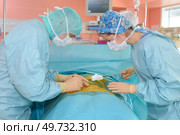 surgeons operate on a patient in the background surgical lamp. Стоковое фото, агентство Ingram Publishing / Фотобанк Лори
