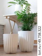 Two white planters with plants on the floor. Стоковое фото, фотограф Роготнева Виктория / Фотобанк Лори