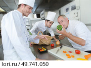 chef cooks meal with apprentices. Стоковое фото, агентство Ingram Publishing / Фотобанк Лори