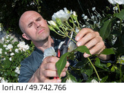 gardener pruning the flowers. Стоковое фото, агентство Ingram Publishing / Фотобанк Лори