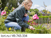 woman raking fresh mowed grass. Стоковое фото, агентство Ingram Publishing / Фотобанк Лори