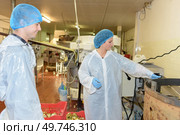 concept of canning factory worker. Стоковое фото, агентство Ingram Publishing / Фотобанк Лори