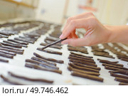 a hand arranging the chocolates. Стоковое фото, агентство Ingram Publishing / Фотобанк Лори