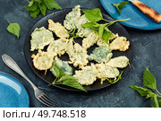 Homemade breaded young nettle or battered nettle. Hot spring greens appetizer. Nettle leaves in batter, vegetarian food. Стоковое фото, агентство Ingram Publishing / Фотобанк Лори