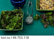 Herbal tea made from fresh young nettle. Spring nettles detox therapy. Natural remedies, herbalist.. Herbal tea with nettle, alternative medicine. Стоковое фото, агентство Ingram Publishing / Фотобанк Лори