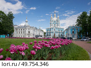 Санкт-Петербург. Смольный собор на фоне тюльпанов. Редакционное фото, фотограф Литвяк Игорь / Фотобанк Лори