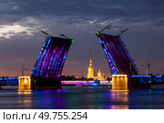Санкт-Петербург. Петропавловская крепость в створе Дворцового моста (2022 год). Редакционное фото, фотограф Литвяк Игорь / Фотобанк Лори