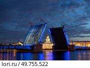 Санкт-Петербург. Кунсткамера в створе Дворцового моста (2022 год). Редакционное фото, фотограф Литвяк Игорь / Фотобанк Лори