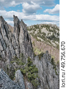Jagged Rocky Peaks, Pine Forest in Mountain Landscape. Two-headed sopka,Taganay National Park,Russia. Стоковое фото, фотограф Ирина Кононова / Фотобанк Лори