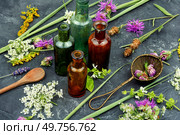 Alternative medicine. Healing mixtures and decoctions from medicinal herbs. Herbal medicine, bottles. Bottles of tincture, medicinal herbs. Стоковое фото, агентство Ingram Publishing / Фотобанк Лори