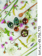 Bottles of tincture or potion and dried healthy herbs, medicinal herbs. Healing mixtures from herbs. Стоковое фото, агентство Ingram Publishing / Фотобанк Лори