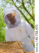 Beekeeper holding frame covered in bees. Стоковое фото, агентство Ingram Publishing / Фотобанк Лори