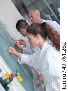 young students writing numbers on green chalk board in classroom. Стоковое фото, агентство Ingram Publishing / Фотобанк Лори