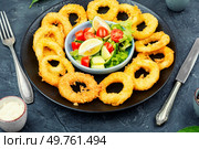 Fried squids or octopus (calamari) with fresh vegetable salad.. Battered squid rings,seafood. Стоковое фото, агентство Ingram Publishing / Фотобанк Лори