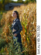 In a serene rural cornfield, a young woman stands gracefully, exuding tranquility in her stylish outfit, which harmonizes perfectly with the sunkissed golden hues of the harvest that envelops her. A Serene Young Woman in a Beautiful Cornfield Happily Embracing the Natural Beauty Around Her. Стоковое фото, агентство Ingram Publishing / Фотобанк Лори