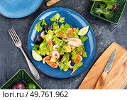 Platter of green salad with figs and figs. Seafood salad on a concrete kitchen table.. Shrimp salad with figs. Стоковое фото, агентство Ingram Publishing / Фотобанк Лори