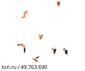 Body part vector illustration. Body shape awareness plays role in cultivating proactive approach to health Anatomic understanding is crucial for promoting culture preventive healthcare. Body part. Teaching anatomy involves explaining biological aspects each body part. Стоковая иллюстрация, агентство Ingram Publishing / Фотобанк Лори