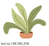 Flower pot. Vector illustration. Botany studies various aspects plant anatomy and physiology The vegetal pattern on fabric adds natural and organic feel The vegetative growth plant indicates. Flower pot. The flowering plants in garden create colorful and lively ambiance. Стоковая иллюстрация, агентство Ingram Publishing / Фотобанк Лори