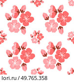 Sakura pattern vector illustration. The decorative elements incorporated repetitive sakura motifs, infusing design with grace and beauty The seamless design showcased intricate details and intricate. Sakura pattern. The seamless design showcased beauty blooming sakura trees against soft background. Стоковая иллюстрация, агентство Ingram Publishing / Фотобанк Лори
