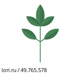 Leaves vector illustration. In botanical realm, leaves and foliage symbolize very essence life Growing garden is journey exploration into intricate world leaves Leaves grow gracefully, intertwining. Leaves. Botanical wonders unfold as leaves unfurl and blossoms burst into bloom. Стоковая иллюстрация, агентство Ingram Publishing / Фотобанк Лори