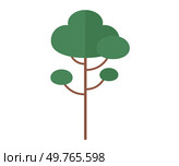 Tree vector illustration. The changing climate patterns affect growth and reproduction plants The roots tree anchor it firmly to ground, providing stability and nourishment The symphony chirping birds. Tree. Climate conditions influence growth and distribution trees in different regions. Стоковая иллюстрация, агентство Ingram Publishing / Фотобанк Лори