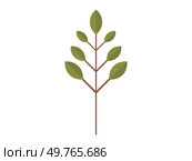 Tree vector illustration. Climate conditions affect growth and survival trees in different regions The biological processes trees contribute to overall health ecosystem Living organisms, including. Tree. Living organisms, including trees, interact and rely on each other for survival. Стоковая иллюстрация, агентство Ingram Publishing / Фотобанк Лори