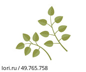 Leaves vector illustration. Leaves grow and intertwine, creating verdant tapestry in garden The leaves metaphor eloquently expresses poetic dance natures ballet Blooms and blossoms are artistic. Leaves. Harvesting leaves is art, celebrating abundance botanical wonders. Стоковая иллюстрация, агентство Ingram Publishing / Фотобанк Лори