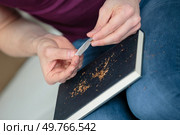 close-up of unrecognizable man rolling cigarette. Стоковое фото, агентство Ingram Publishing / Фотобанк Лори