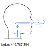 Profile of a human head with blue arrows showing air passage through the nose, down the throat. Ideal for medical, respiratory, anatomy, health education, science. Simple line art style.. Human Head Silhouette with Airflow Arrows Indicating Breathing Process. Стоковая иллюстрация, агентство Ingram Publishing / Фотобанк Лори