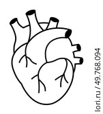 A black and white simple line drawing of a human heart. Ideal for medical, educational, scientific, anatomy, and biology themes. Minimalist and schematic style.. Anatomical Heart Diagram Simplified Black and White Representation. Стоковая иллюстрация, агентство Ingram Publishing / Фотобанк Лори