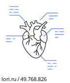 Anatomical depiction of a human heart with key parts highlighted and labeled. Ideal for medical studies, educational purposes, cardiovascular health, anatomy lessons, and scientific research. Clean li. Detailed Anatomical Diagram of the Human Heart with Technical Annotations and Markings. Стоковая иллюстрация, агентство Ingram Publishing / Фотобанк Лори