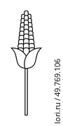 Corn on a stalk with a husk is visible. Ideal for agriculture, food, farming, organic produce, and nutrition. Minimalist vector style. Simple and clean lines with monochromatic colors, mainly black. Simplified Black and White Corn Vector Icon for Agricultural and Food Industry Themes. Стоковая иллюстрация, агентство Ingram Publishing / Фотобанк Лори