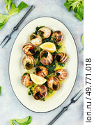 Snails baked with sauce, Bourgogne escargot snails, concept of French cuisine, gourmet food. Top view.. Baked snails with butter. Стоковое фото, агентство Ingram Publishing / Фотобанк Лори