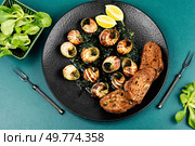 Eating roasted snails, delicatessen food: edible snails, escargot cooked with butter, parsley, lime and garlic. Flat lay. Escargots de Bourgogne. Стоковое фото, агентство Ingram Publishing / Фотобанк Лори