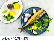 Smoked mackerel on a plate, smoked scomber fish. Flat lay. Whole smoked mackerel fish. Стоковое фото, агентство Ingram Publishing / Фотобанк Лори