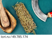 Wormwood herb or Absinthii herba herb on table. Medicinal healing herbs, herbal medicine or alternative medicine.. Dried wormwood medicinal herbs. Стоковое фото, агентство Ingram Publishing / Фотобанк Лори