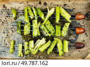 Grilled celery stalks on skewers, vegetarian kebab. Vegan barbecue, healthy snacks.. Vegan shashlik, celery stalks. Стоковое фото, агентство Ingram Publishing / Фотобанк Лори