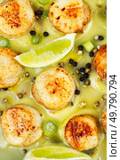 A plated dish of sea scallops garnished with fresh lime and drizzled with basil sauce. Close up. Fried scallops with sauce. Стоковое фото, агентство Ingram Publishing / Фотобанк Лори