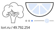 Broccoli and half lemon slices with progress indicators in a minimalist style. Ideal for nutrition, plant-based diets, health tracking, veganism, recipe apps, meal planning, and organic food. Line. Minimalist Broccoli and Lemon Half with Progress Indicators for Healthy Eating and Plant-Based Diet Concepts. Стоковая иллюстрация, агентство Ingram Publishing / Фотобанк Лори