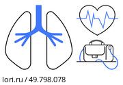 Lungs diagram with blue trachea, heart with ECG line, and medical bag. Ideal for medical themes, healthcare presentations, respiratory health, cardiology, emergency kits, hospital equipment. Medical elements including lungs, heart with ECG line, and medical bag representing healthcare. Стоковая иллюстрация, агентство Ingram Publishing / Фотобанк Лори