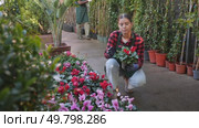 Female florist in apron taking care of potted flowers in a flower shop. Стоковое видео, видеограф Яков Филимонов / Фотобанк Лори