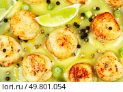 A plated dish of sea scallops garnished with fresh lime and drizzled with basil sauce. Food background. Fried scallops with sauce. Стоковое фото, агентство Ingram Publishing / Фотобанк Лори