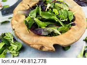 Healthy green leaf salad in a stylish wooden bowl. Green vegan breakfast meal.. Delicious green leaf salad. Стоковое фото, агентство Ingram Publishing / Фотобанк Лори