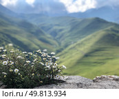 Кавказ. Стоковое фото, фотограф Анна Астафьева / Фотобанк Лори