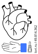 Anatomical heart outline above a gloved hand and medical dropper. Ideal for healthcare, medical education, anatomy, cardiology, medical care, surgery, and health services. Line metaphor. Anatomical Heart Outline with Gloved Hand and Medical Dropper Icon for Healthcare and Medicine. Стоковая иллюстрация, агентство Ingram Publishing / Фотобанк Лори