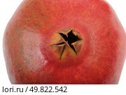 red full fruit pomegranate. Стоковое фото, агентство Ingram Publishing / Фотобанк Лори