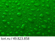 Green water drops background with yellow reflections. Стоковое фото, агентство Ingram Publishing / Фотобанк Лори